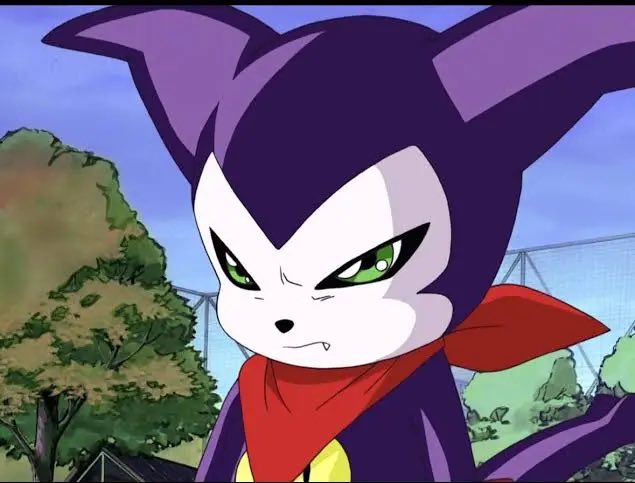 President JestR tweet media