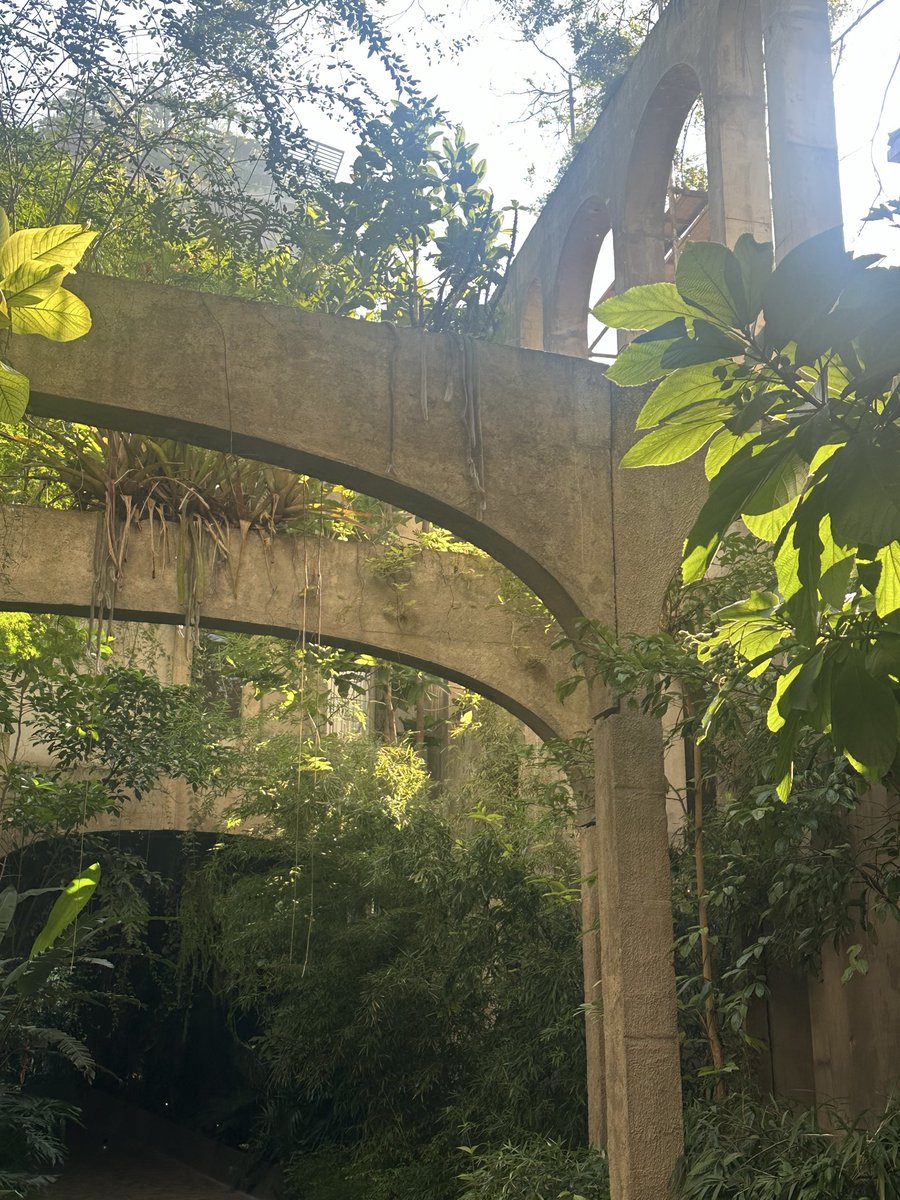 Liam Corrigan tweet media