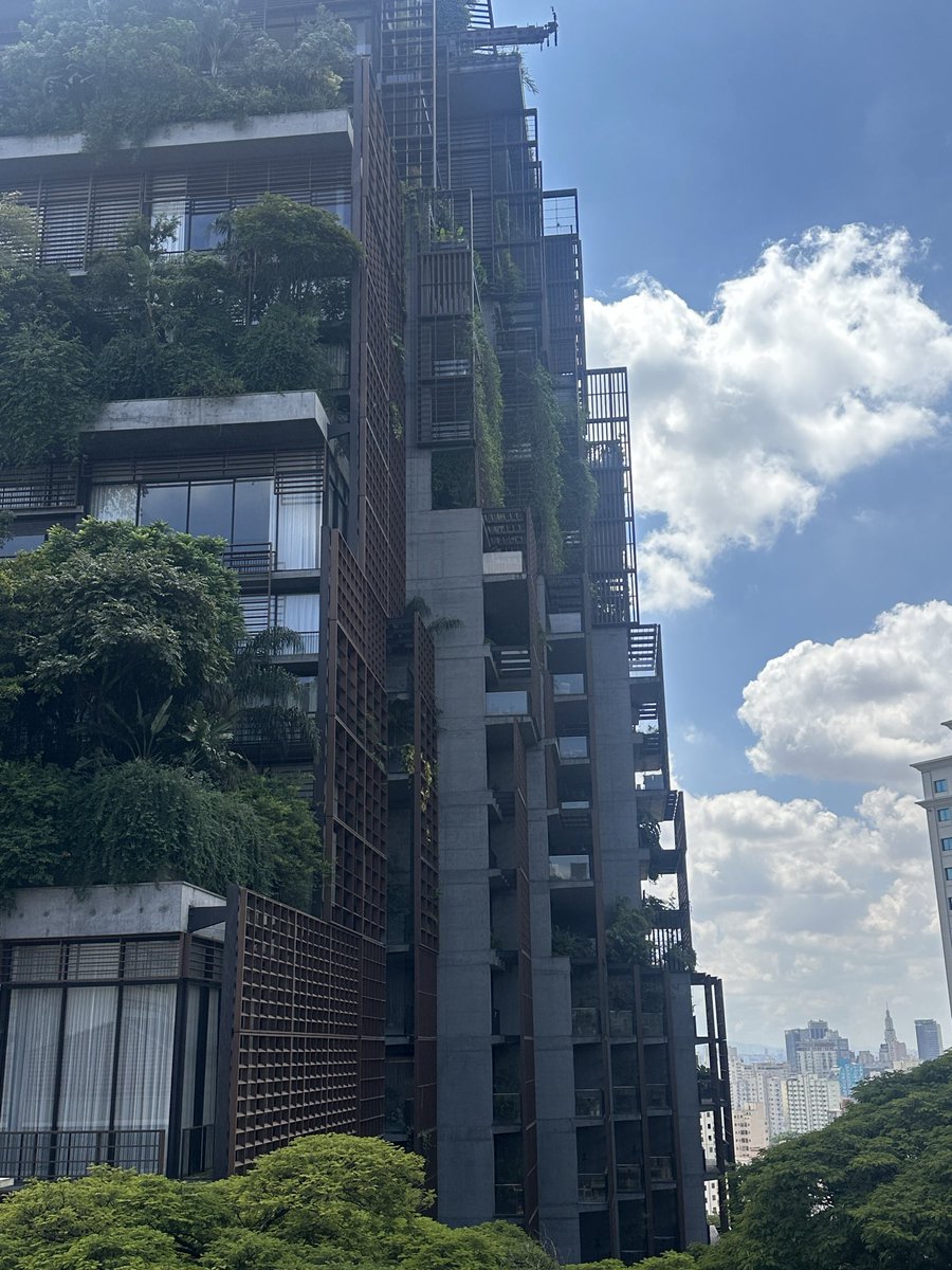 Liam Corrigan tweet media