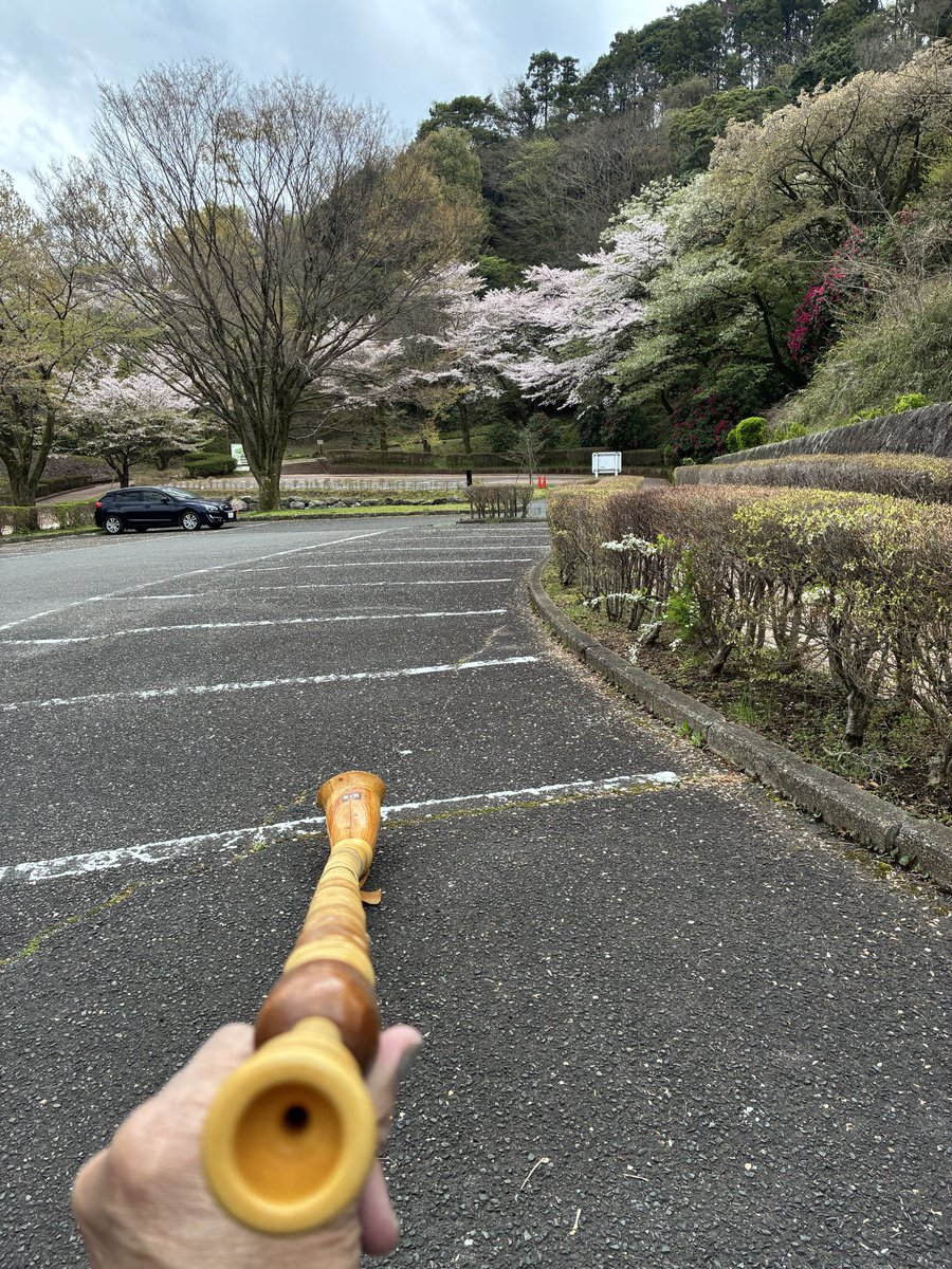 rs_hima's tweet photo. 朝練As.F管 https://t.co/kELj0ttlCU