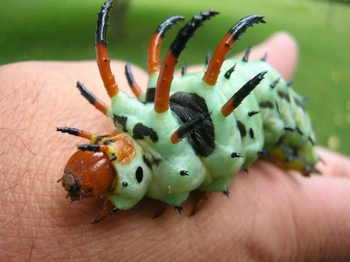 hawa ï๑ tweet media