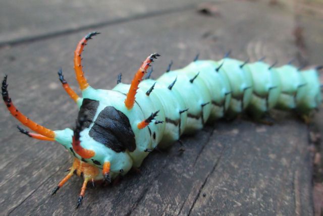 hawa ï๑ tweet media