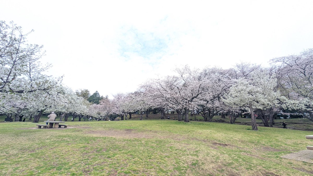 遊牧舎銕仙(回復中) tweet media