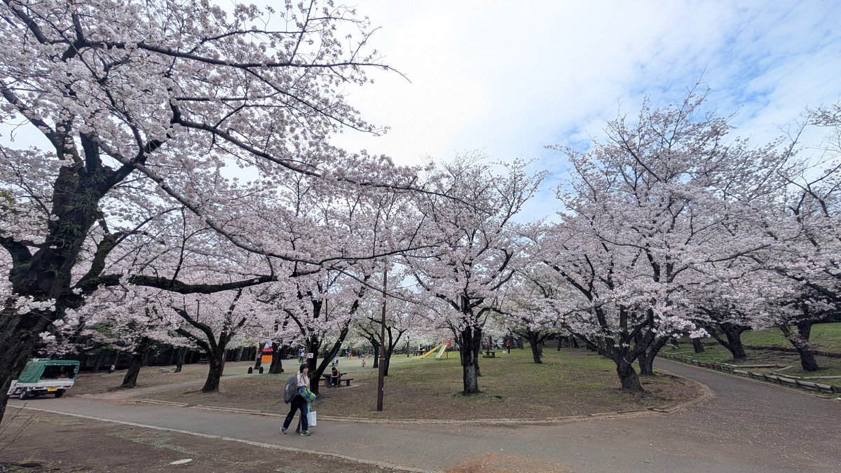 遊牧舎銕仙(回復中) tweet media