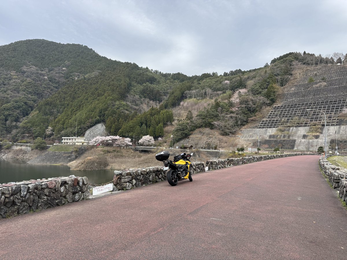 ばっちー@GSXS1000GT tweet media