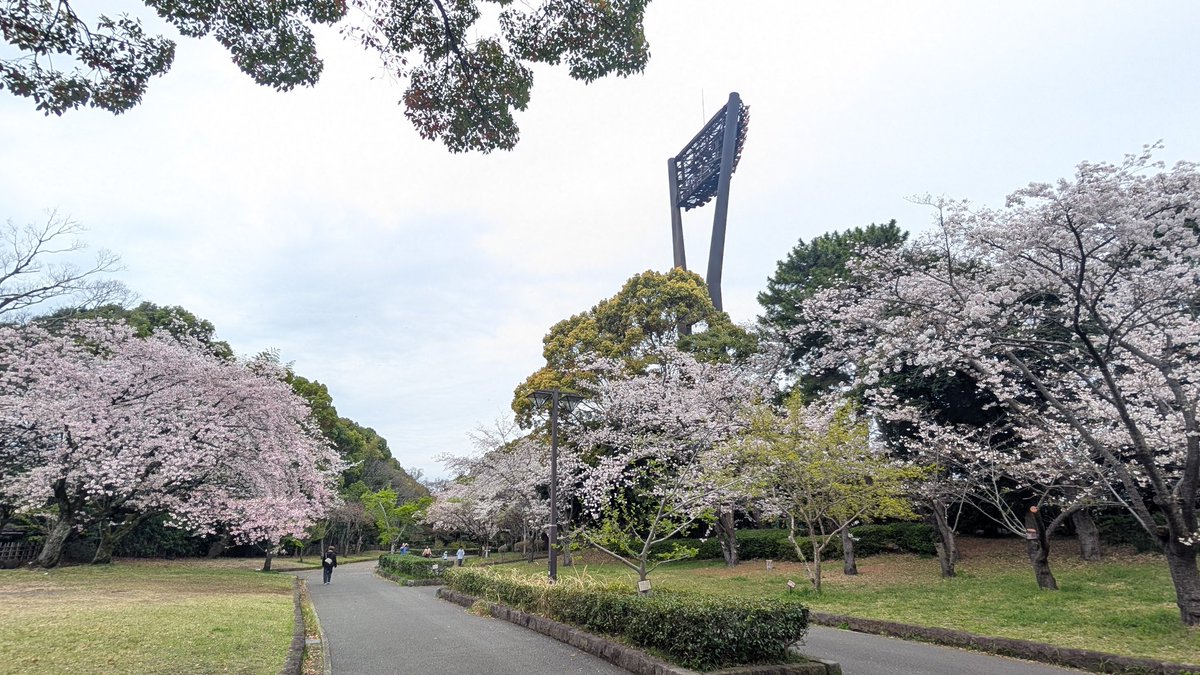 遊牧舎銕仙(回復中) tweet media