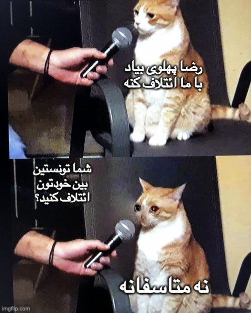 ☼𓃬داون آندر tweet media