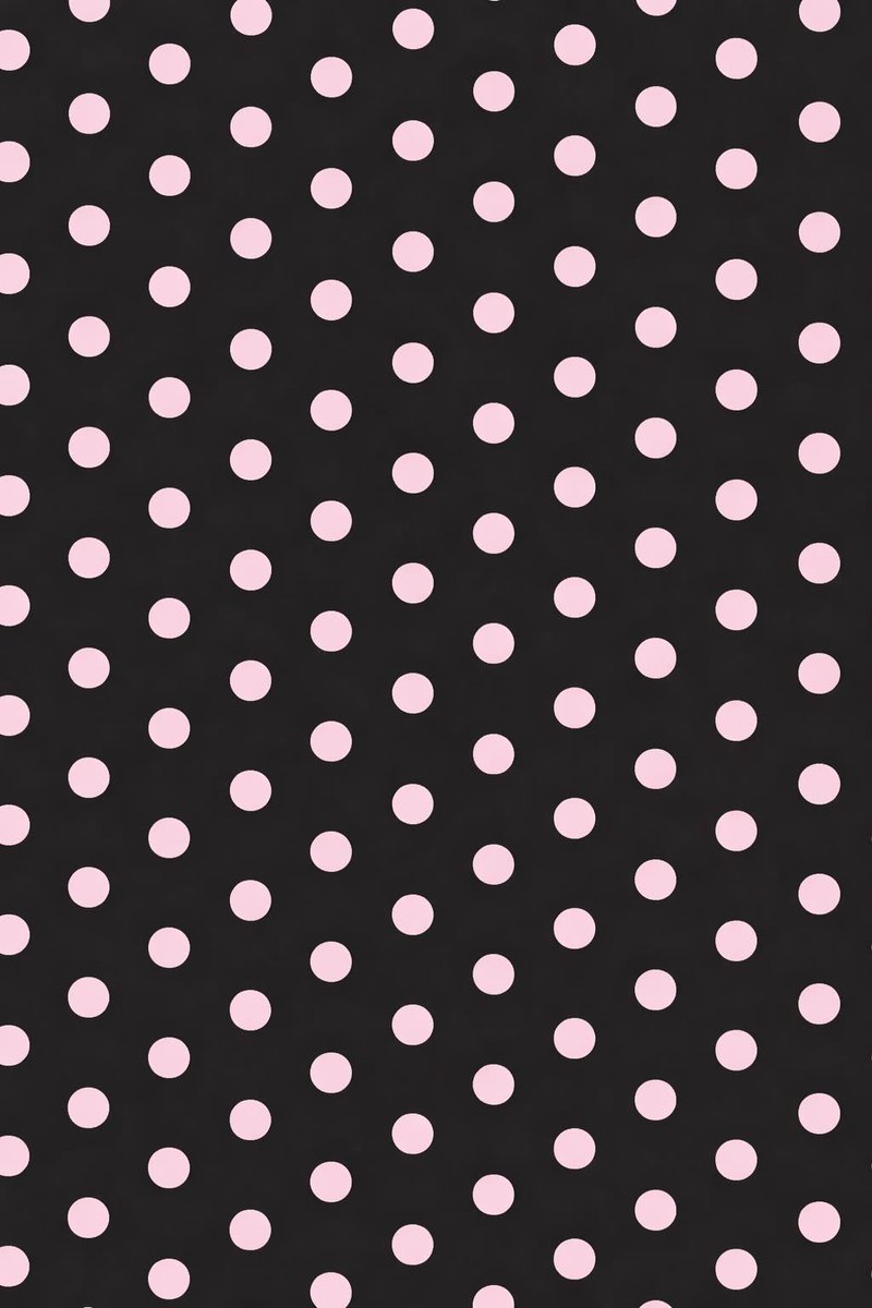 𑣲𝒳𝖺𝗇 tweet media