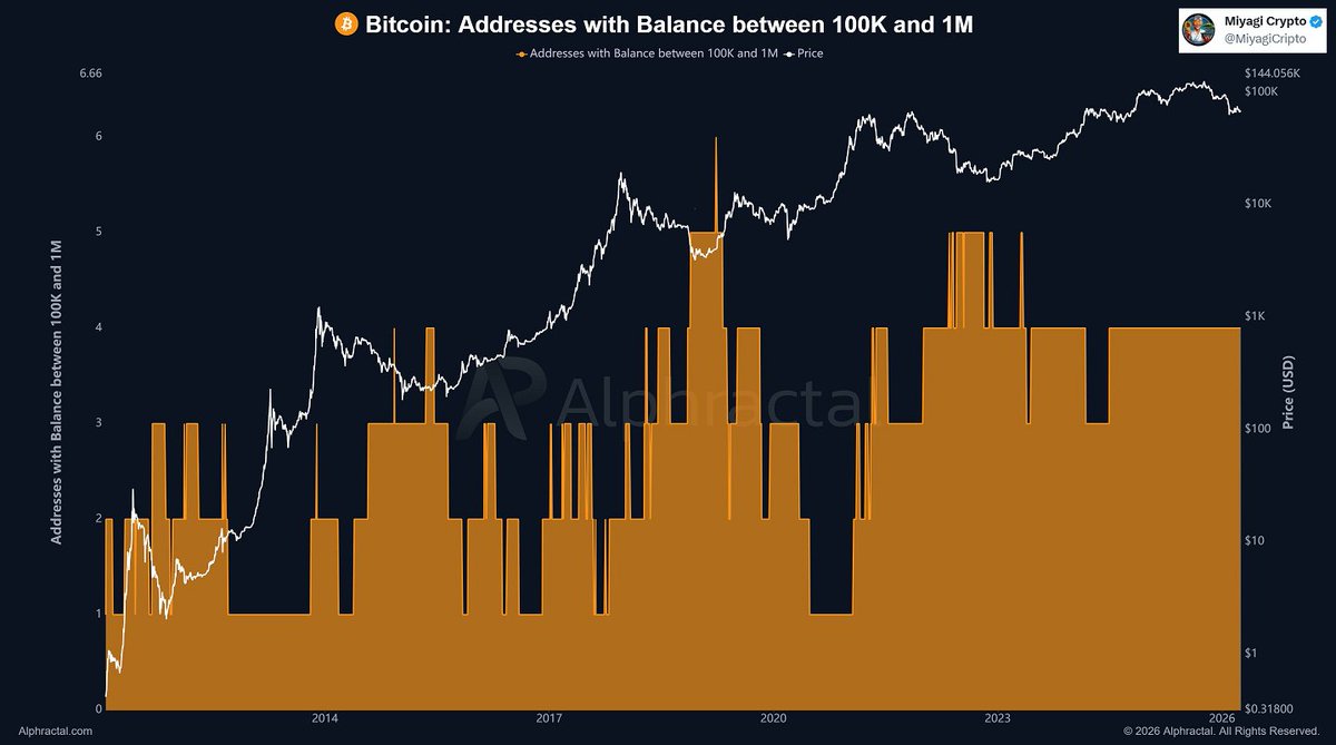 MiyagiCripto's tweet image. Actualmente sólo 4 billeteras poseen más de 100K #bitcoin 

1⃣ Binance Cold Wallet 1 ➡️ 248.598 BTC

2⃣ Binance Cold Wallet 2 ➡️ 151.259 BTC

3⃣ Robinhood Cold Wallet ➡️ 140.575 BTC

4⃣ Bitfinex Cold Wallet ➡️ 130.010 BTC

La siguiente es #Tether Treasury Wallet, con 96.185 #btc