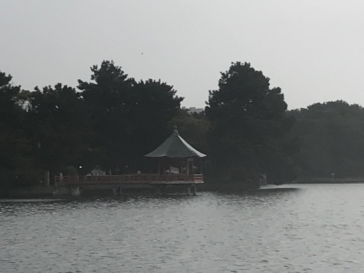 さだ坊 tweet media