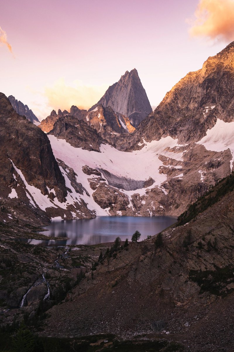 Sara Boychuk 🏔❄️ tweet media