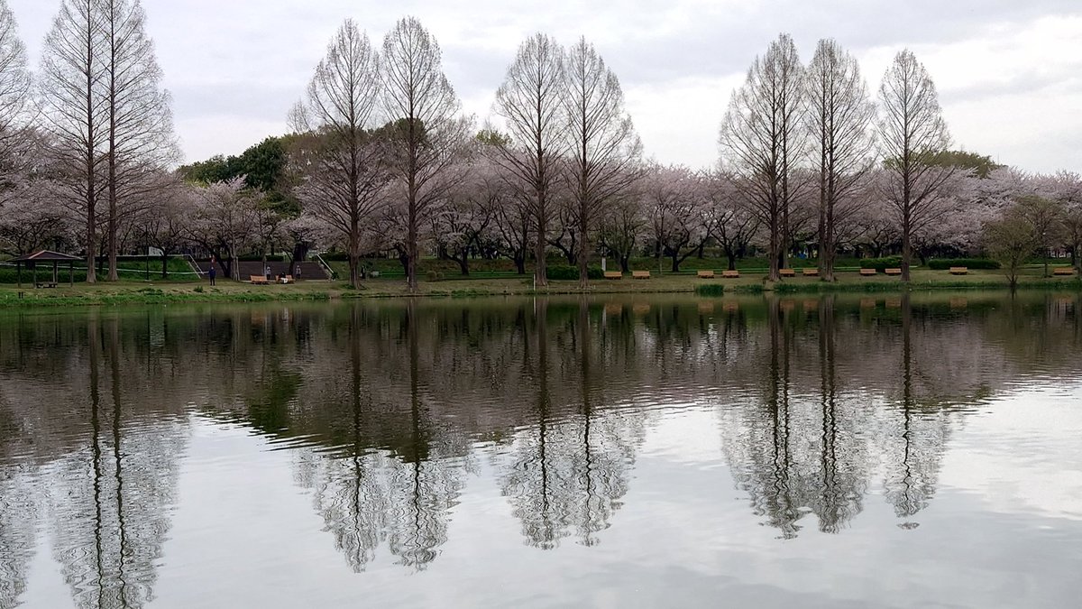 ネクタイのおじさん tweet media