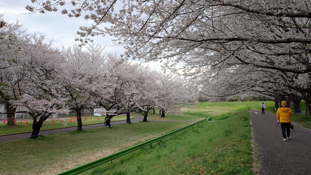 ネクタイのおじさん tweet media