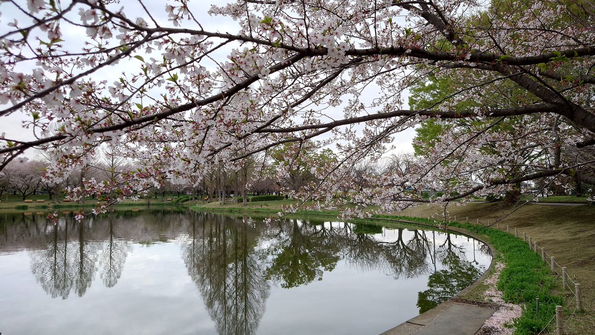 ネクタイのおじさん tweet media