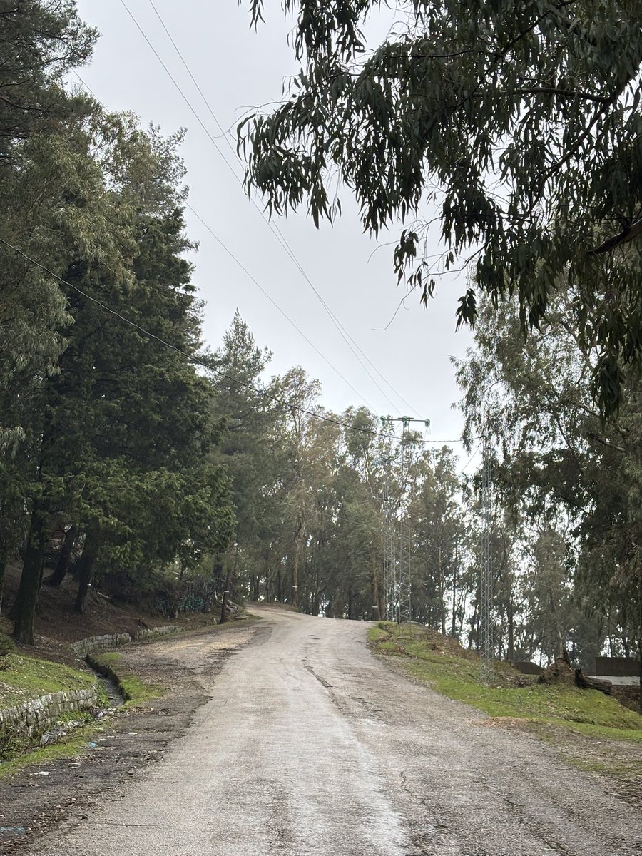 the man who chosed blue tweet media