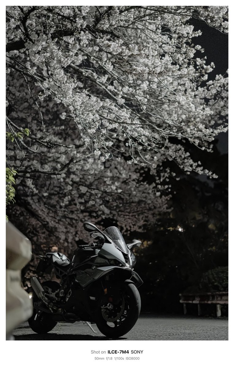 rent5leon's tweet photo. 桜とS1000RR
#夜桜 #s1000rr #bmw https://t.co/0YhuTeUUaP
