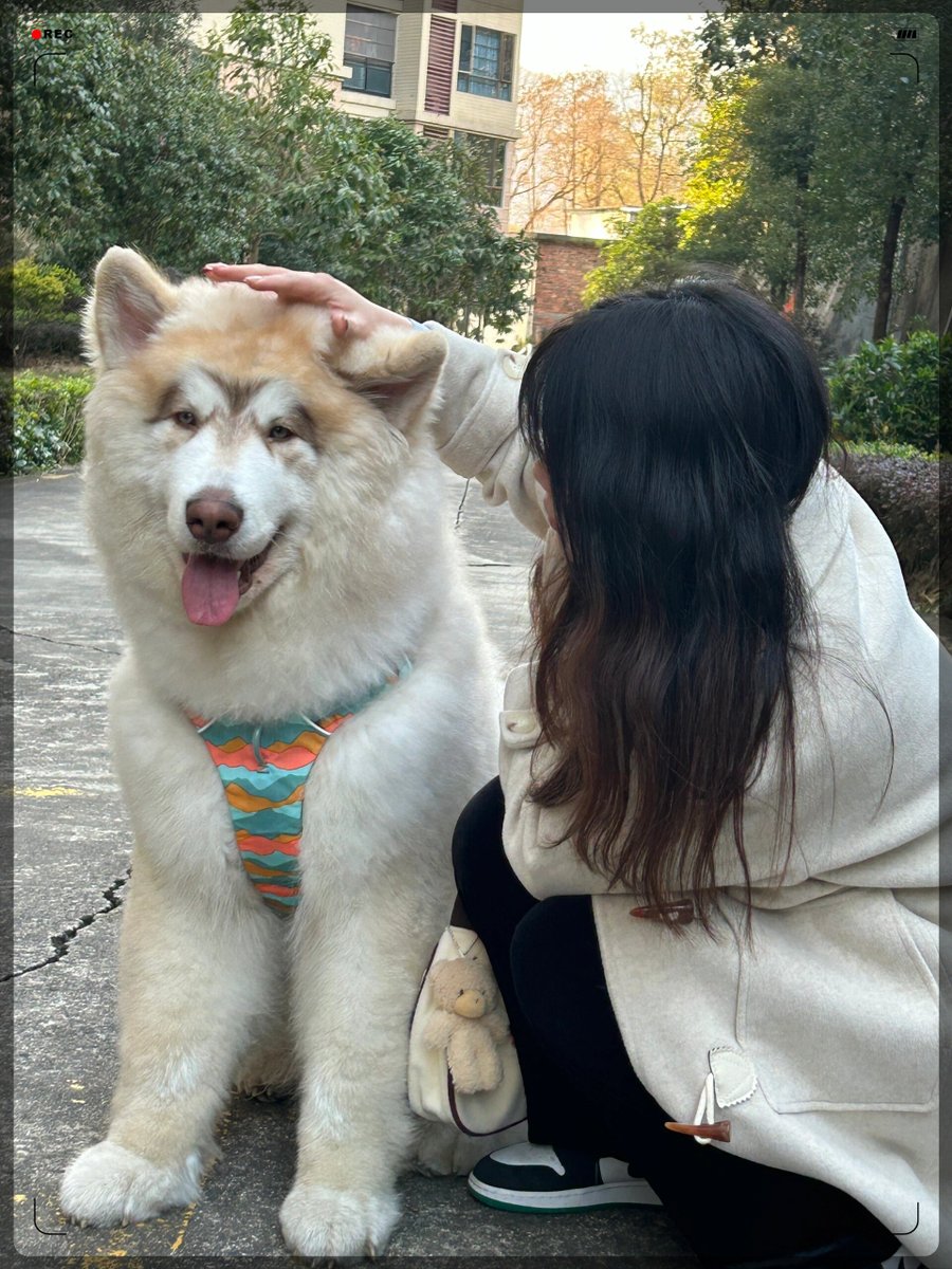 gundo justin tweet media