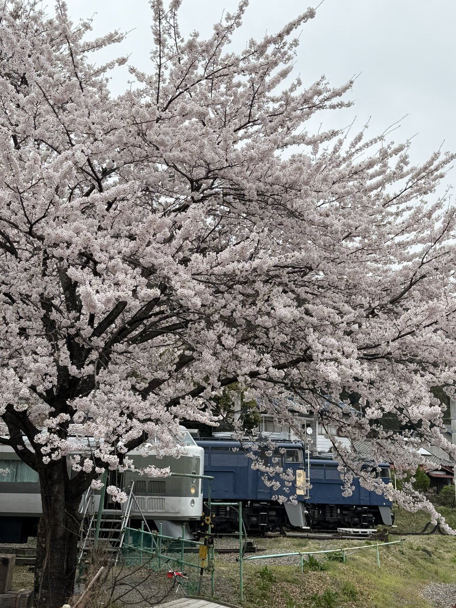 総合車両製作所 電車市場(公式) tweet media