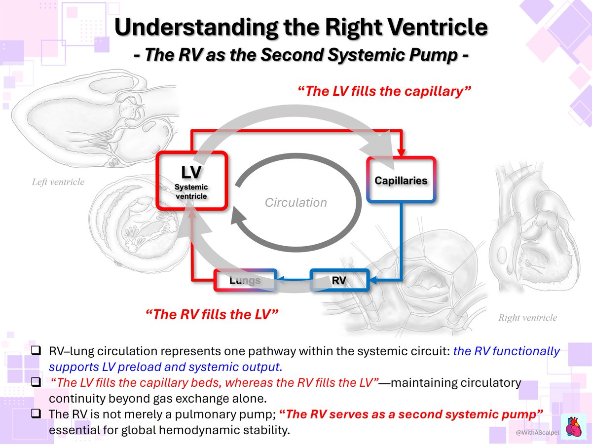 WithAScalpel - Fumiya Yoneyama, MD, PhD tweet media