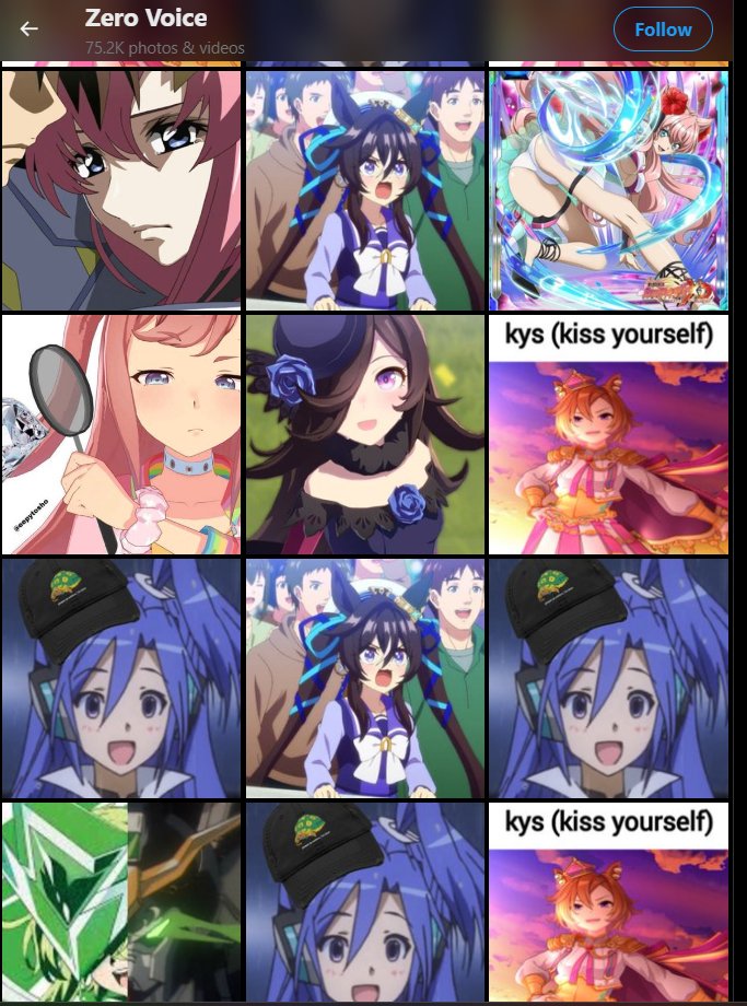 Einstein Visa tweet media