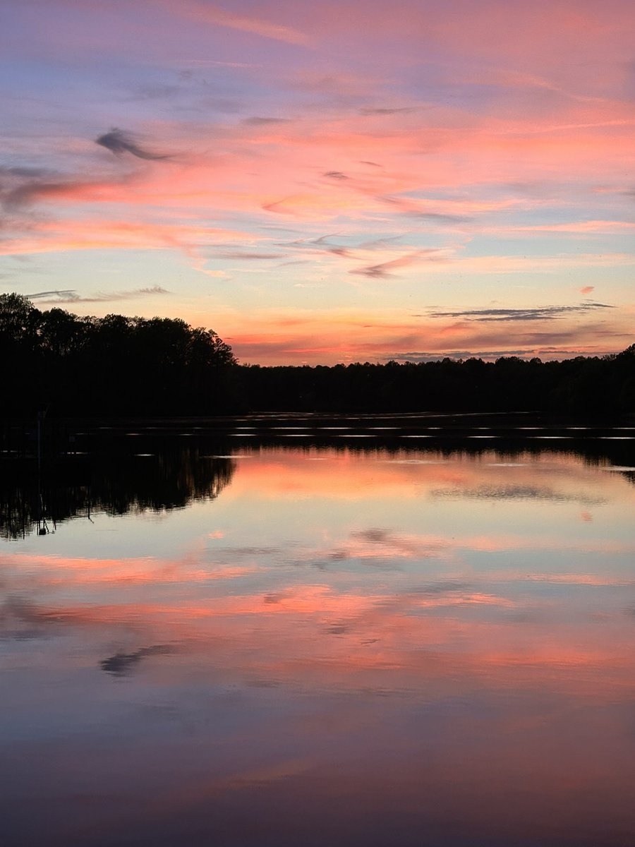 Maiv Lig Lauj tweet media