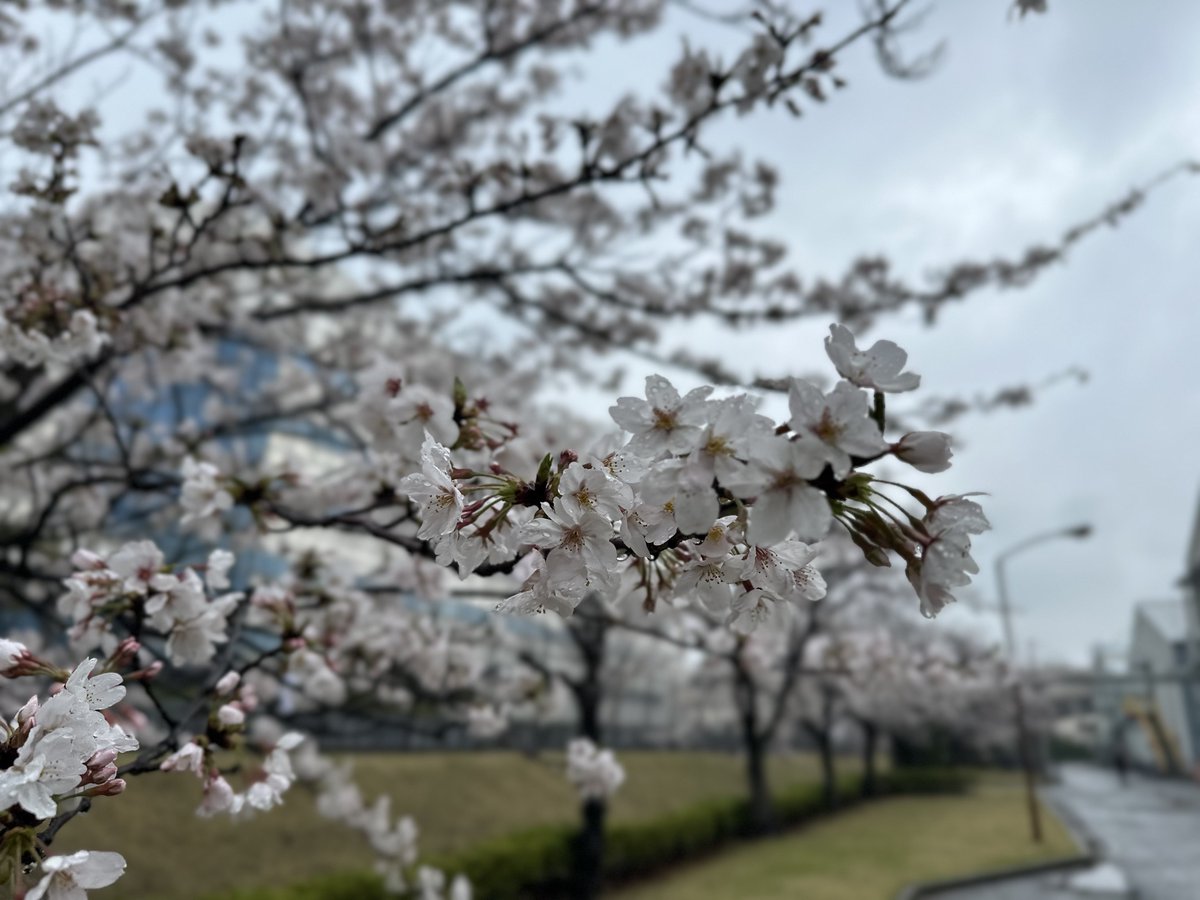 ヤベッチFC tweet media