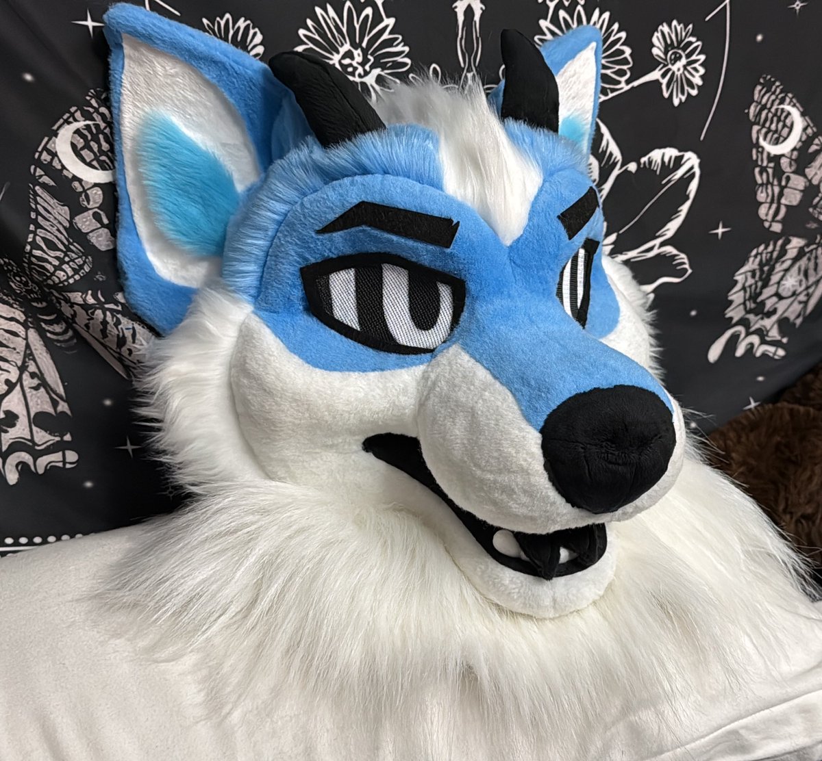 🪲Alex 🔜 FWA tweet media