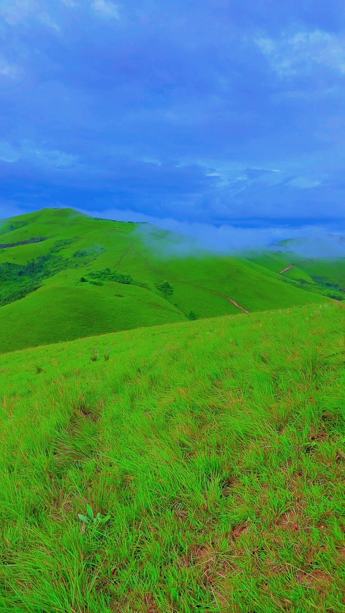 GISARO🇨🇩❤️ tweet media