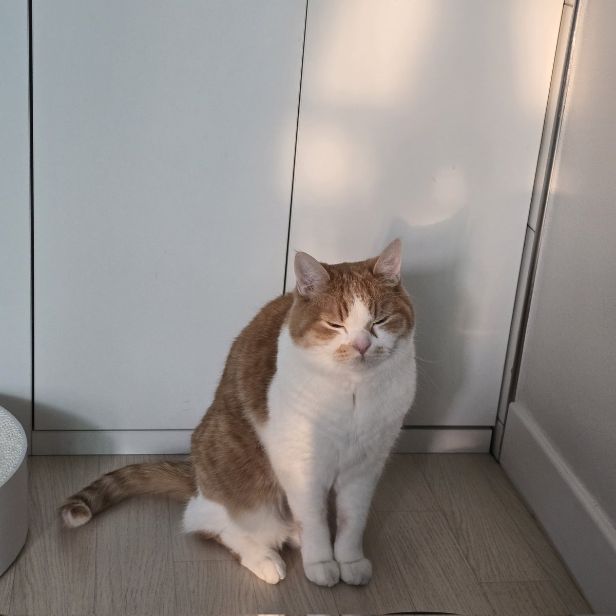 순대만 주세요 tweet media