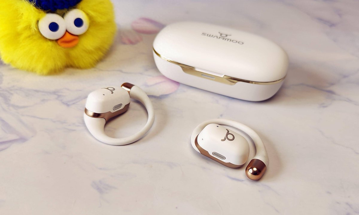 gray_lisa tweet media