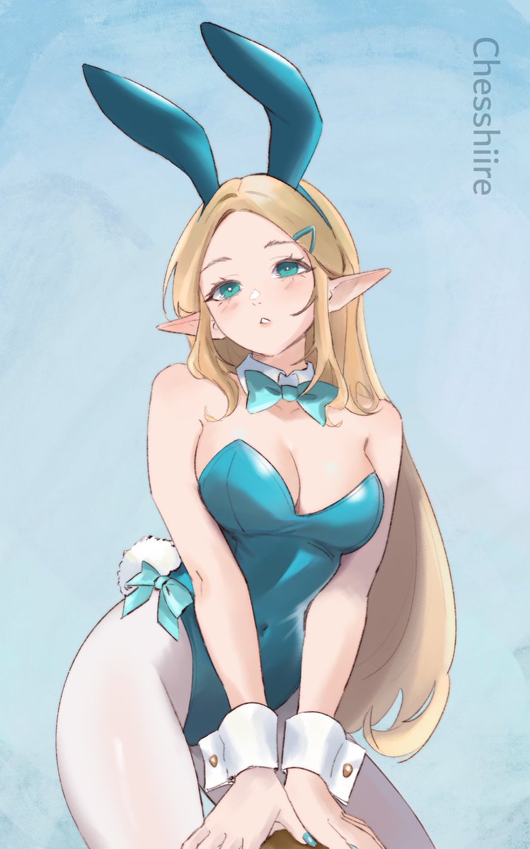 Chesshiire | COMMS OPEN tweet media