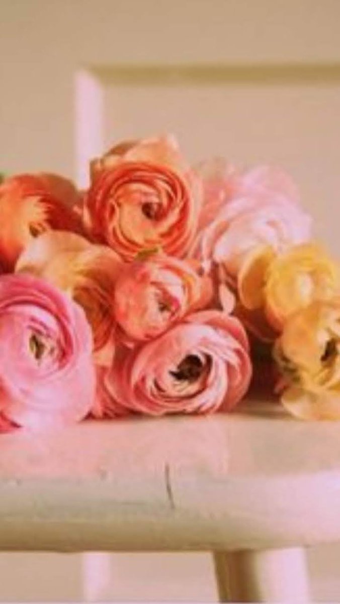 MARIA LUISA tweet media