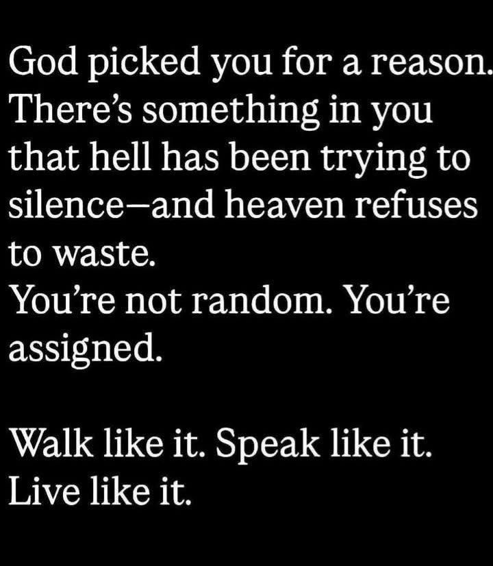 𝔇𝔞𝔫𝔦𝔢𝔩 𝚟𝚜 𝔅𝔞𝔟𝔶𝔩𝔬𝔫 tweet media