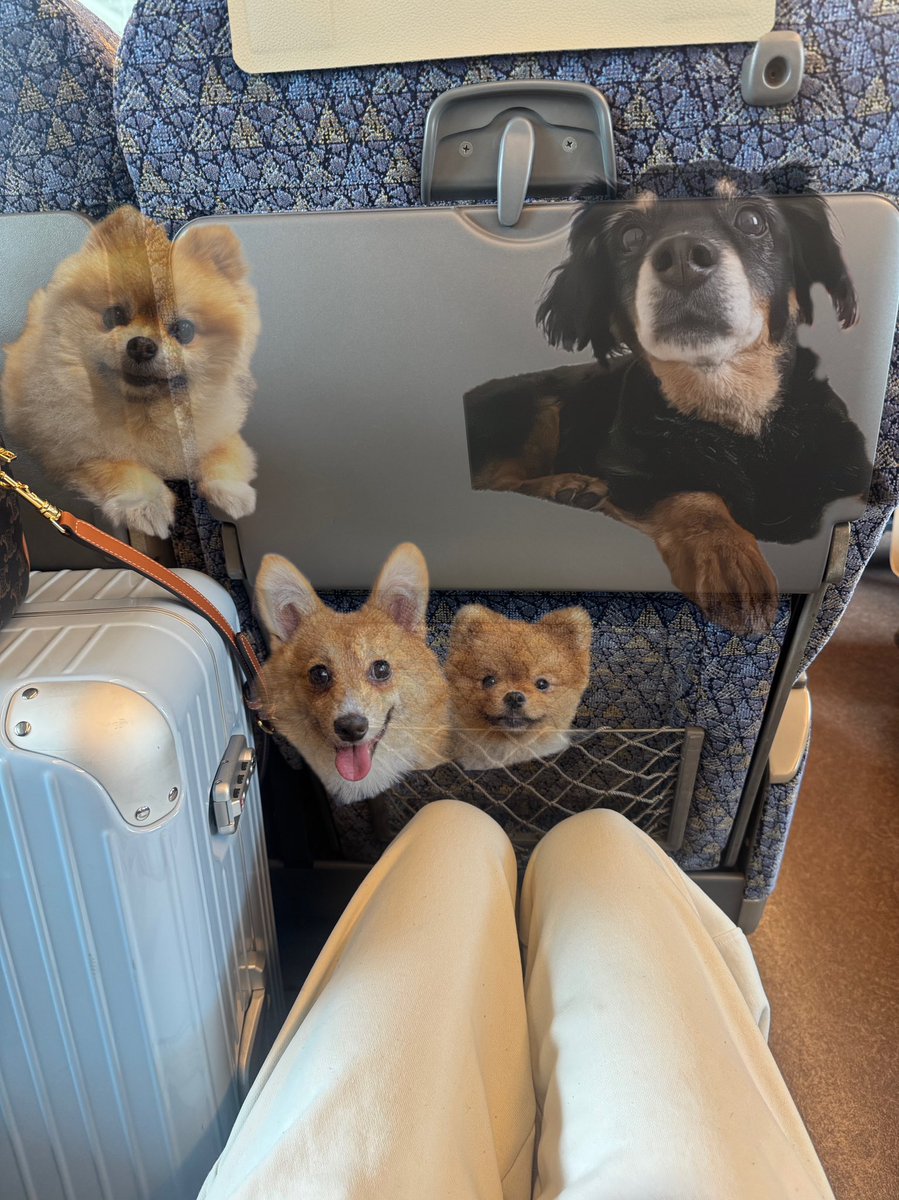 上福ゆき kamiyu tweet media