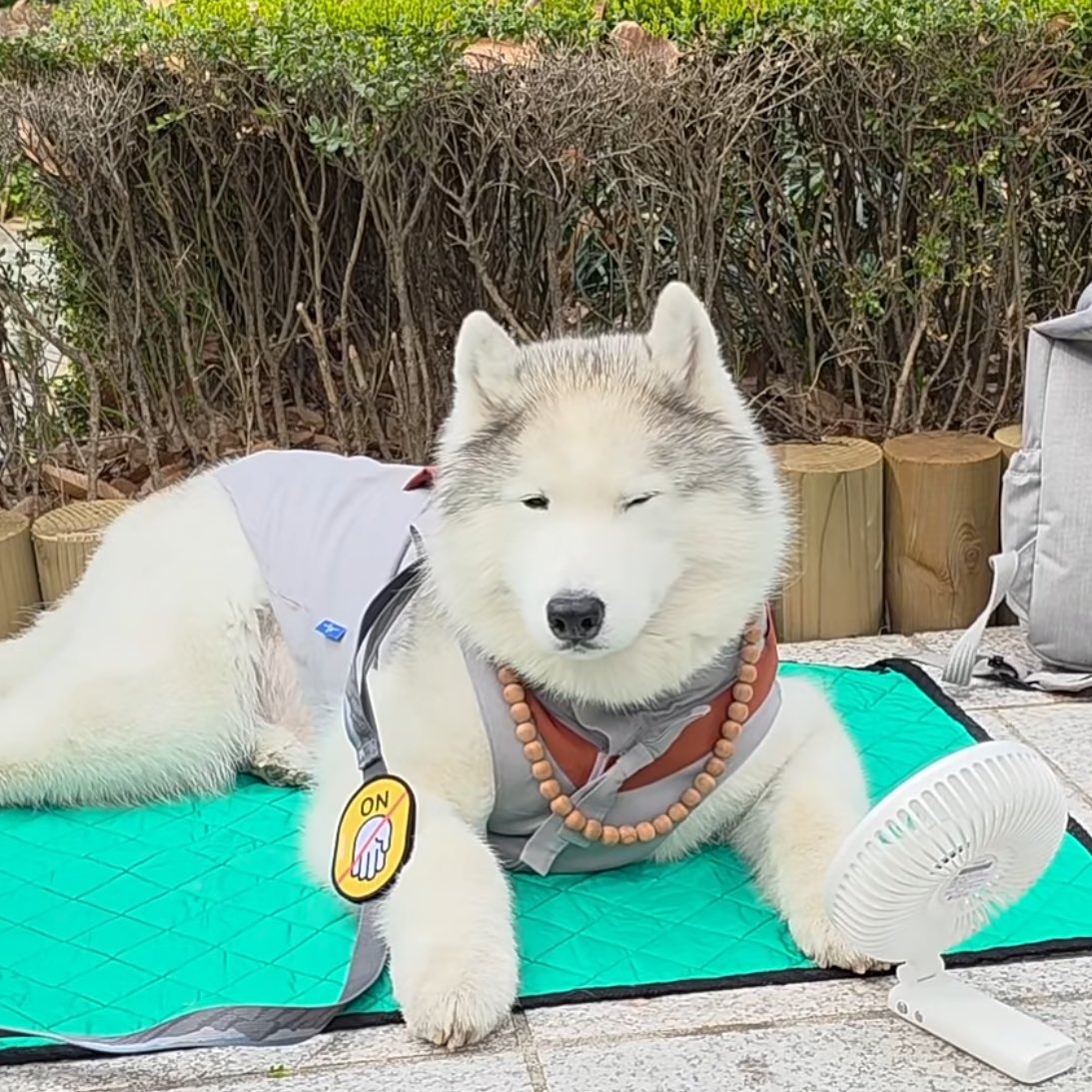 kd_dumbo's tweet photo. #강다니엘 #KANGDANIEL https://t.co/qPBeZL2wkB