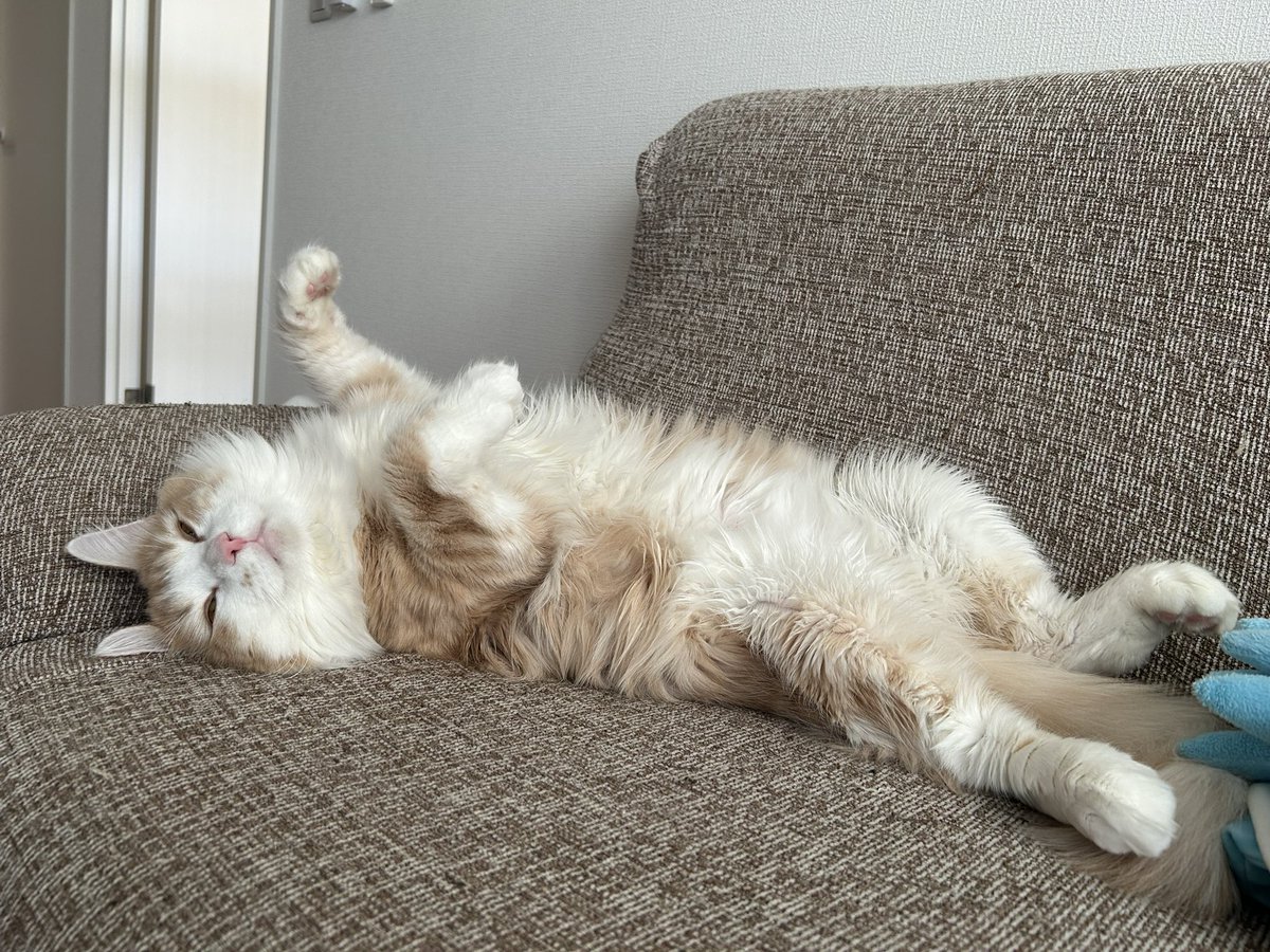 うちの100兆円を見せてやるか…