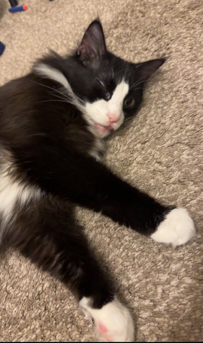 Ron Stage tweet media