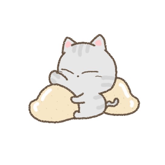 오늘의 엥시리 tweet media