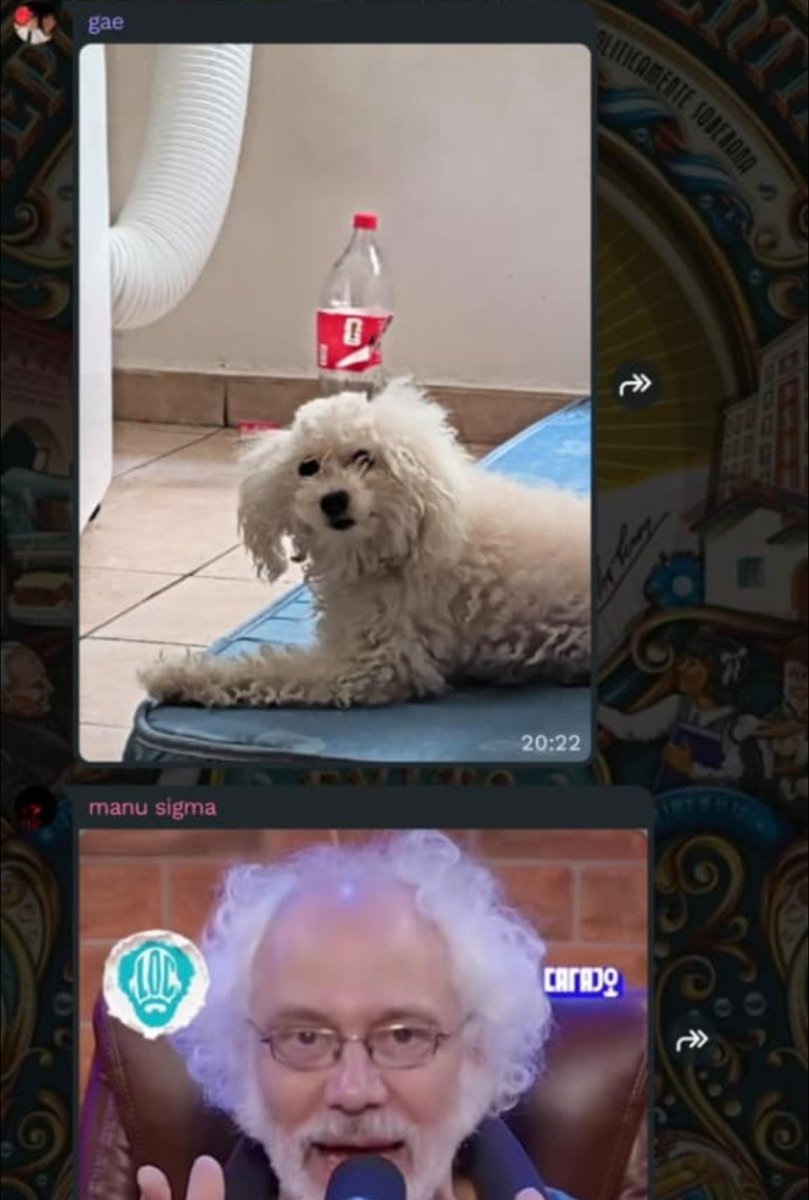 🇦🇹Splin7er Pincha⭐¹⁴ #QUEVUELVAELBANDERIN tweet media