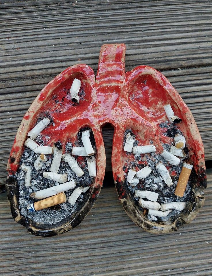 शब्द माझा सखा...✨❤️ tweet media