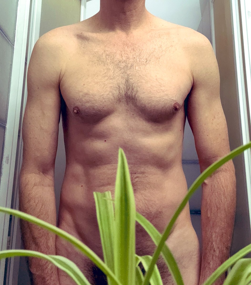 Alon Ross tweet media