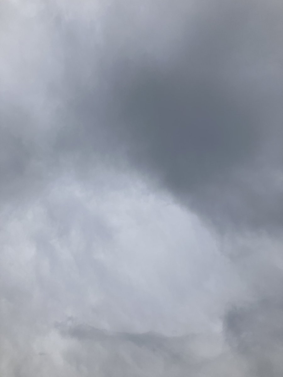 林忍 Filierあなたのためにオンリーワンをお届けするニットウエア 名古屋市守山区 tweet media