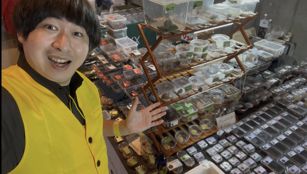 キョンシー蜂丸（昆虫ハウス101号室） tweet media