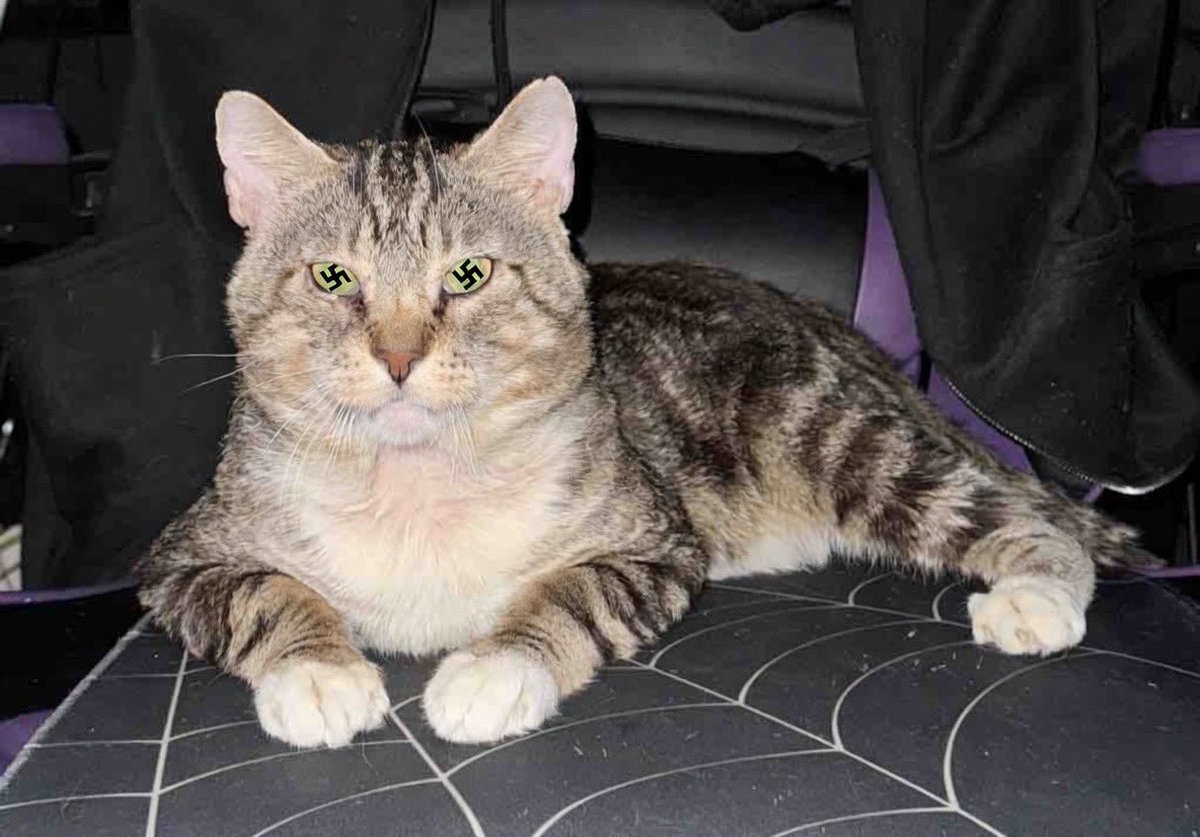 A Fren named Mike tweet media