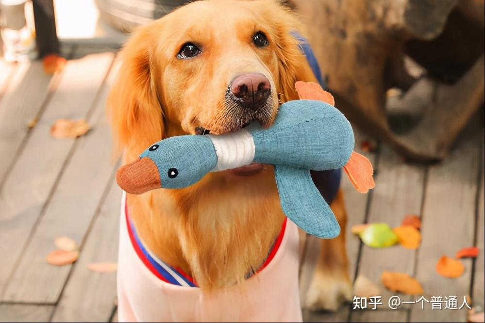 ismaelescobedo tweet media