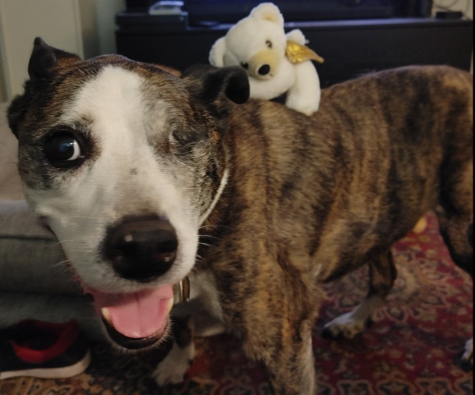 Newsom Gulag Inmate #107734 tweet media