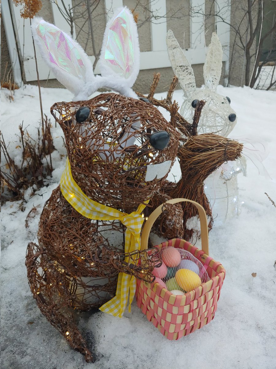 Neil Coligan tweet media