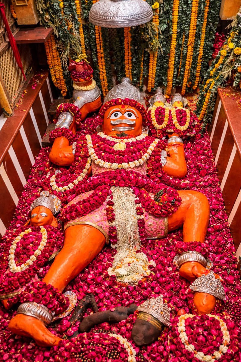 Bhumi Dixit tweet media