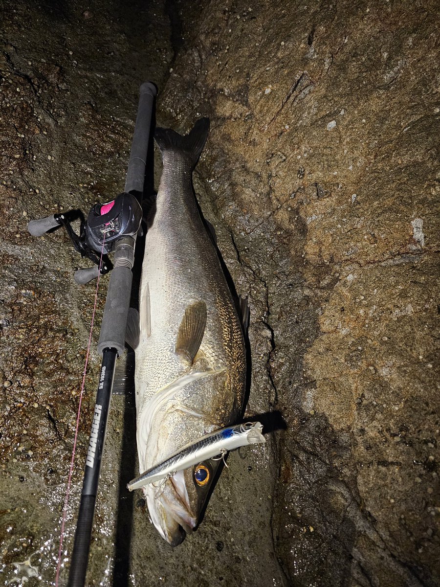 中馬貴寛 tweet media