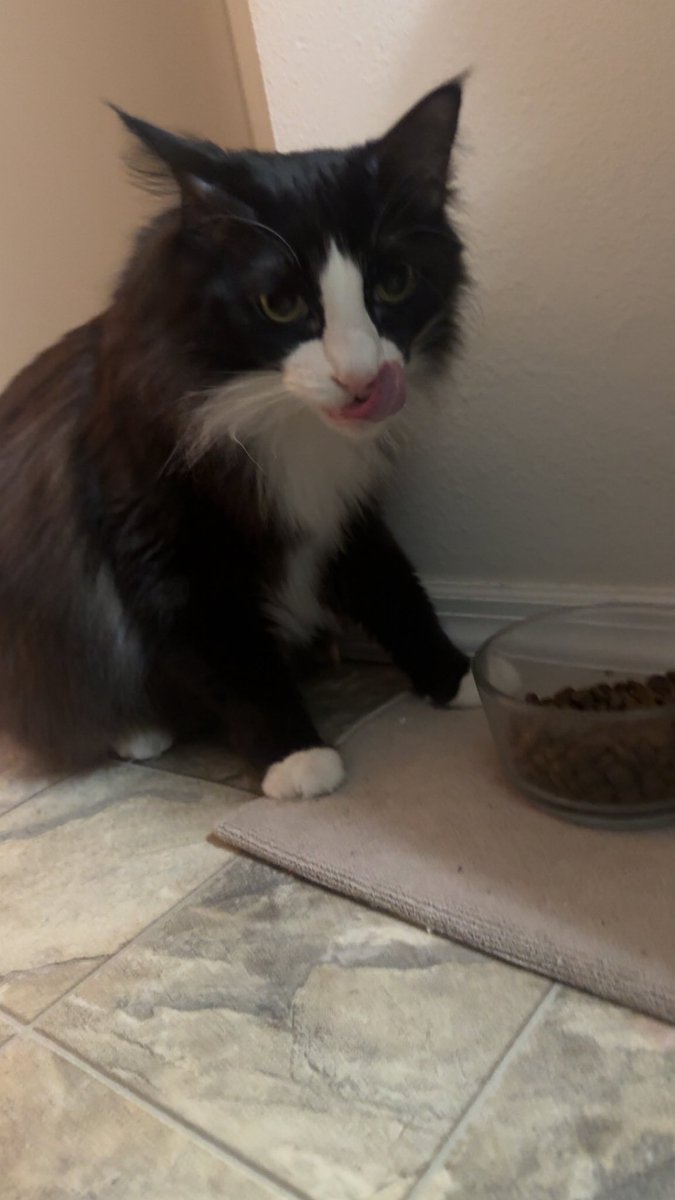 Ron Stage tweet media